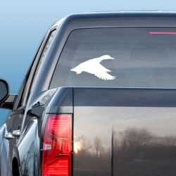 Skimming the Surface Duck Decal