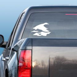 Surface Reflections Duck Decal