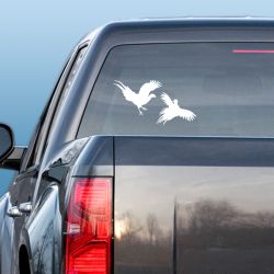 Fighting Pheasants Decal