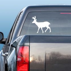 Mule Deer in Velvet Decal