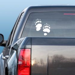 Bear Tracks Decal