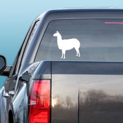 Llama Silhouette