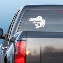 Walleye Striking Decal