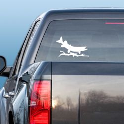 Predatory Pike Decal