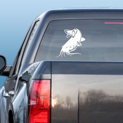 Catfish Feeding Decal