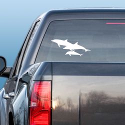 Dolphin Family Pod Decal