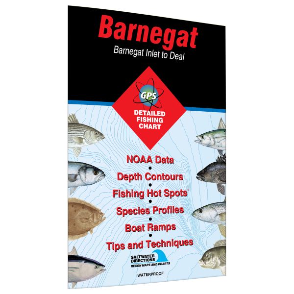 Barnegat Fishing Map Barnegat Inlet to Deal