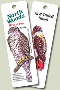 Birds of Prey North Woods Guide