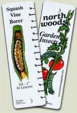 Garden Insect North Woods Guide