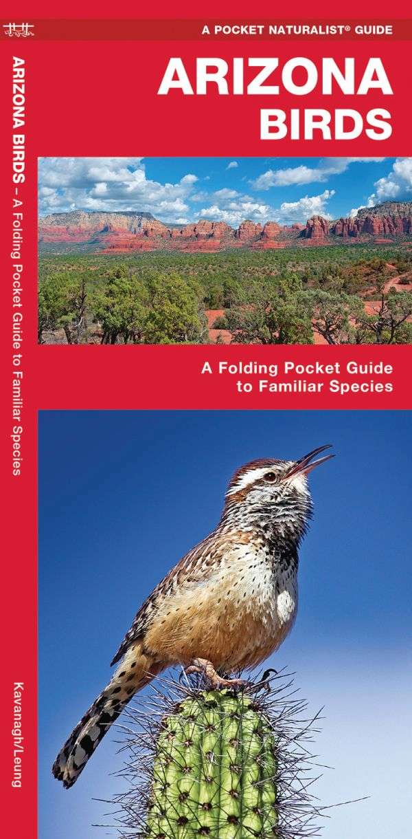 Arizona Birds A Pocket Naturalist Guide