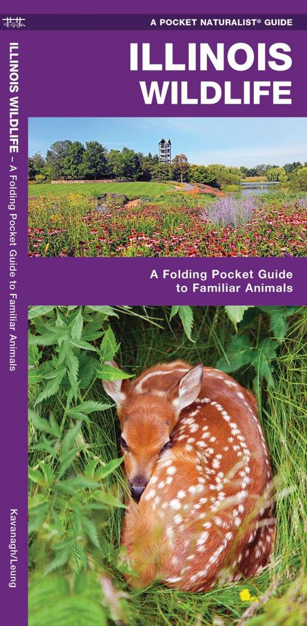 Illinois Wildlife A Pocket Naturalist Guide