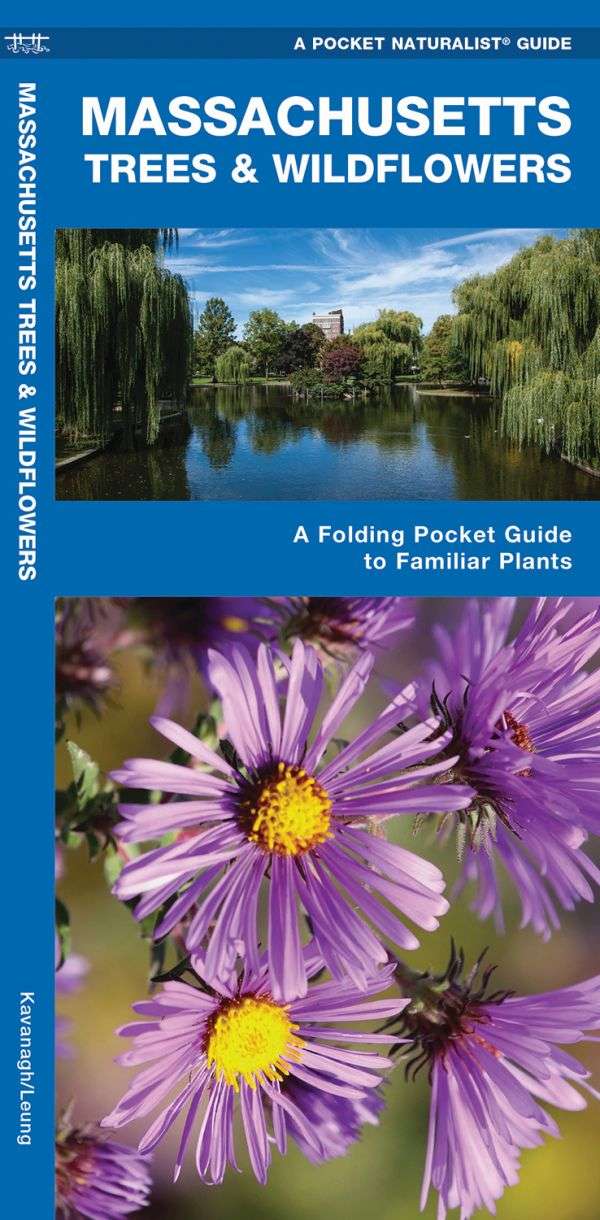 Massachusetts Trees & Wildflowers A Pocket Naturalist Guide
