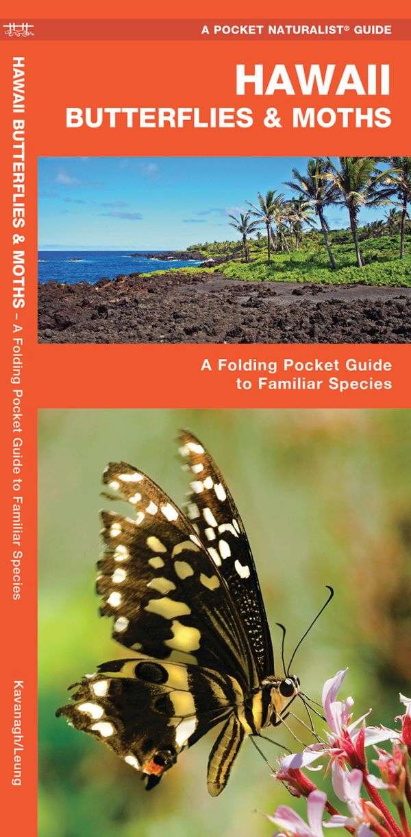 Hawaii Butterflies & Moths A Pocket Naturalist Guide