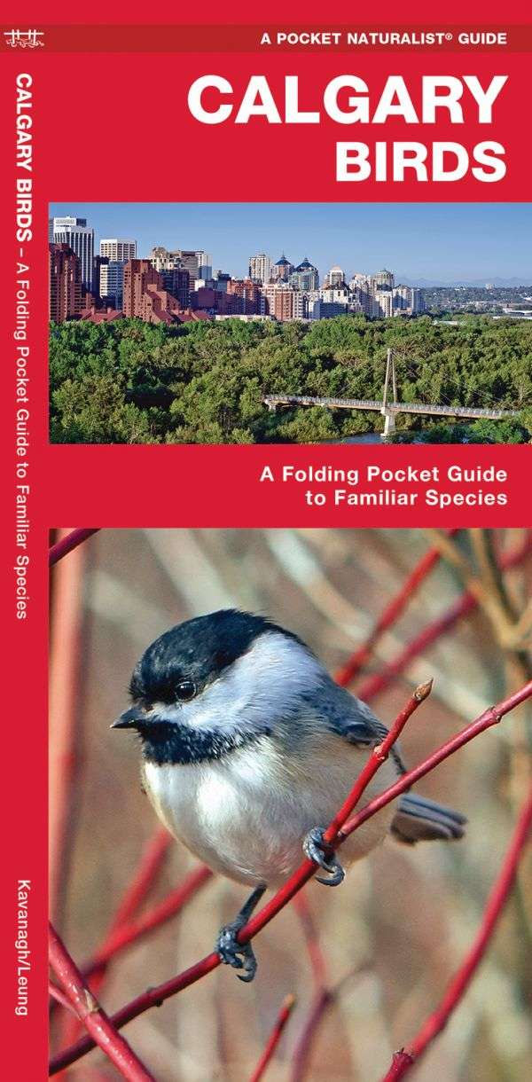 Calgary Birds Pocket Guide