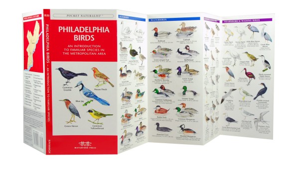Philadelphia Birds A Pocket Naturalist Guide