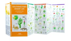 Southwestern Desert Life - A Pocket Naturalist Guide