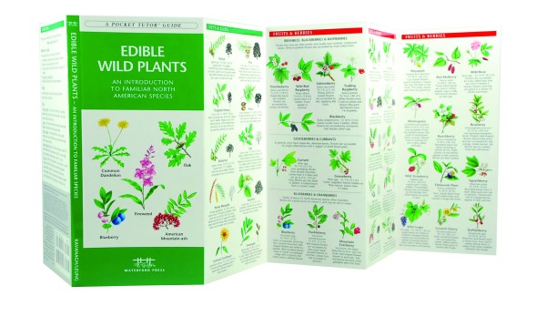 edible wild plants pdf download