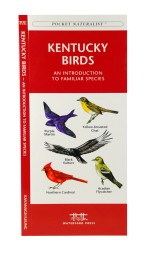 Kentucky Birds - A Pocket Naturalist Guide (9781583551479)