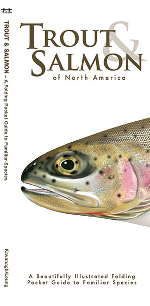 Trout & Salmon of North America A Pocket Naturalist Guide