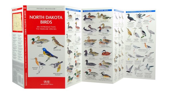 North Dakota Birds - A Pocket Naturalist Guide