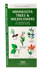 Pocket Field Guides for Butterflies, Bugs & Plants
