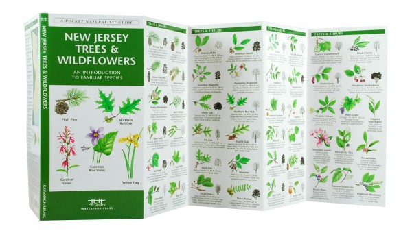 New Jersey Trees &amp; Wildflowers - A Pocket Naturalist Guide