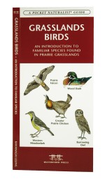 Grasslands Birds - A Pocket Naturalist Guide