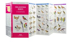 Oklahoma Birds - A Pocket Naturalist Guide