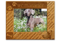 Weimaraner Dog Alderwood 5x7 Horizontal Picture Frame