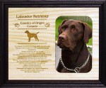 Hunting Dog Frames