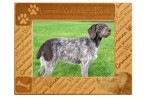 German Wirehair Dog...