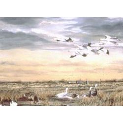 Bay City Snows - Geese Art Print by Les McDonald, Jr.