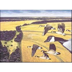 Birds Eye View - Geese Art Print by Les McDonald, Jr.