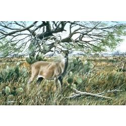 Bush Master - Whitetail Deer Art Print by Les McDonald, Jr.