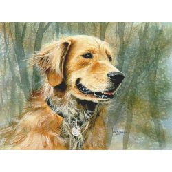 Golden Retriever - Dog Art Print by Les McDonald, Jr.