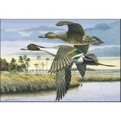 Sky Masters - Ducks Art Print by Les McDonald, Jr.
