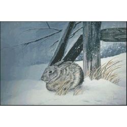 Snow Hare - Rabbit Art Print by Les McDonald, Jr.