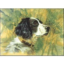 Springer Spaniel - Hunting Dog Art Print by Les McDonald, Jr.