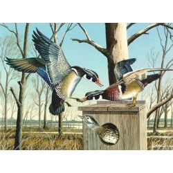 Wetland Woodies - Wood Ducks Art Print by Les McDonald, Jr.