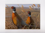 2003 Pheasant Stamp - Art Print by Steve Hamrick