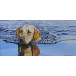 Eyes on the Prize Labrador - Art Print by Steve Hamrick