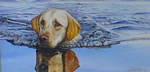 Eyes on the Prize Labrador - Art Print by Steve Hamrick