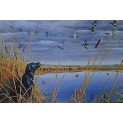 Sky Watch Labrador - Art Print by Steve Hamrick