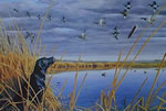 Sky Watch Labrador - Art Print by Steve Hamrick