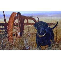 Working Hard Labrador - Art Print by Steve Hamrick