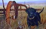 Working Hard Labrador - Art Print by Steve Hamrick