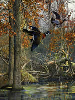 La Grue Woodies - Woodduck Art Print by Scot Storm
