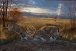 Autumn Thunder - Whitetail Deer Art Print by Scot Storm