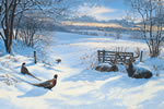 Winter Retreat - Pheasant Art Print by Scot Storm
