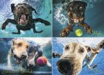 Underwater Dogs: Splash 1000-Piece Puzzle
